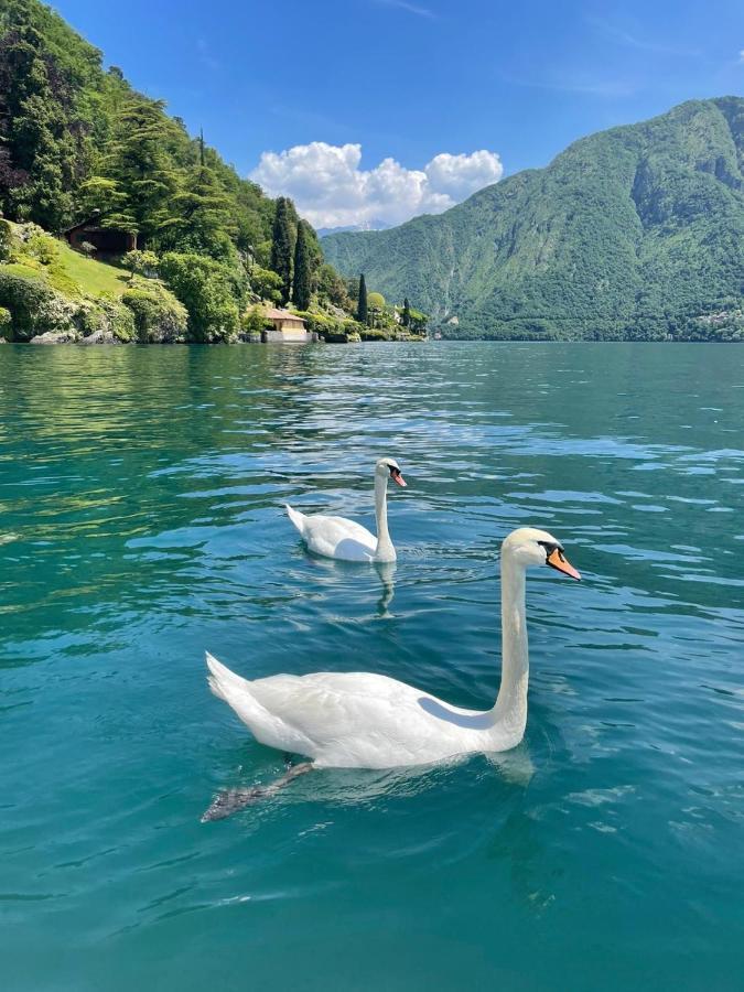 Apartament Casacamelia 35, 3 Bdrm With View Lake Como Acquaseria Zewnętrze zdjęcie